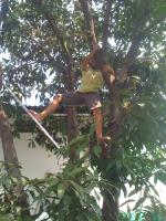 post-108598-0-91989600-1371045684_thumb.