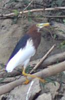 post-12069-0-06194800-1370301163_thumb.j