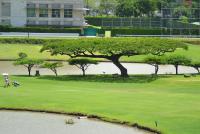 post-12069-0-23578600-1371697831_thumb.j