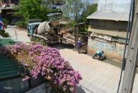 post-12069-0-75022700-1370302720_thumb.j