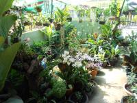 post-126208-0-24544900-1371528992_thumb.