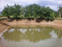 post-137315-0-14292100-1372525857_thumb.