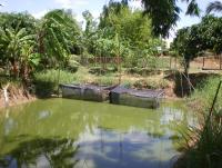 post-137315-0-21248200-1372525664_thumb.