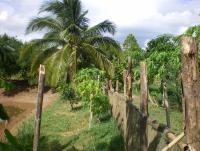 post-137315-0-27207100-1372525963_thumb.