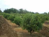 post-137315-0-64086800-1372525569_thumb.