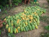 post-140056-0-42819200-1372405016_thumb.