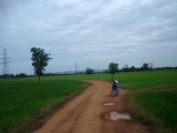 post-140056-0-53195600-1372405968_thumb.