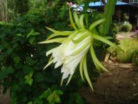 post-140056-0-84562000-1372148449_thumb.