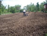 post-140056-0-92082400-1371011796_thumb.