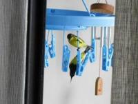 post-140342-0-23759900-1370763230_thumb.