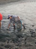 post-151569-0-48093100-1371158473_thumb.