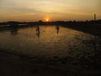 post-151569-0-57182400-1371158480_thumb.