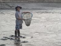 post-151569-0-86342600-1371158476_thumb.