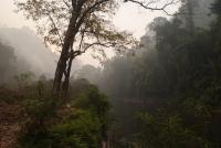 post-168760-0-02820900-1370675447_thumb.