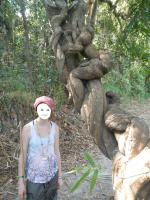 post-168760-0-03756800-1370913839_thumb.