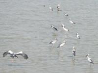 post-168760-0-35776000-1370545966_thumb.