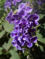 post-168760-0-42762000-1371104390_thumb.