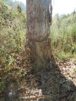 post-168760-0-44398000-1370508777_thumb.