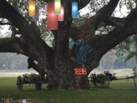 post-168760-0-47862500-1370072406_thumb.