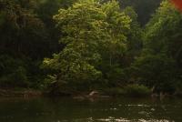 post-168760-0-66381800-1370675476_thumb.