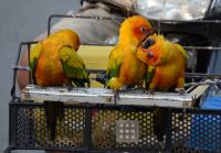 post-168760-0-66903000-1370895205_thumb.