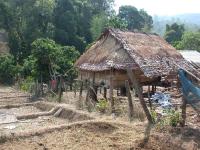 post-168760-0-70243400-1370153696_thumb.