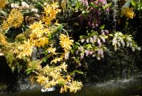 post-168760-0-76794000-1371190221_thumb.