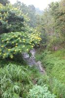 post-168760-0-77634300-1370544843_thumb.