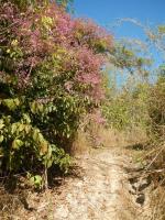 post-168760-0-79012000-1370327988_thumb.