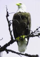 post-168760-0-86846100-1371366656_thumb.