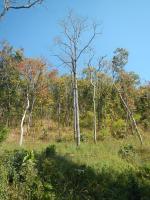 post-168760-0-87849300-1370508803_thumb.