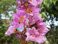 post-168760-0-90308100-1371104270_thumb.