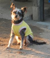 post-168760-0-95949400-1370837721_thumb.