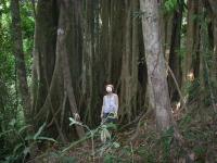 post-168760-0-98705600-1370072551_thumb.