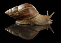 post-172294-0-19808500-1372310825_thumb.