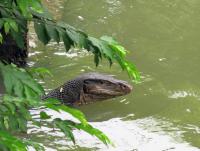 post-177556-0-25099600-1371671426_thumb.