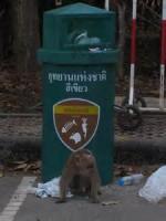 post-181241-0-17556800-1370771551_thumb.