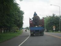 post-181964-0-27953000-1372056641_thumb.