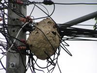 post-18822-0-13495300-1372487097_thumb.j