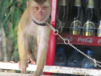 post-18822-0-19328700-1370780186_thumb.j