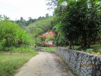 post-18822-0-47500100-1371986837_thumb.j