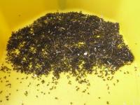 post-18822-0-77583300-1372486874_thumb.j