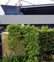 post-20604-0-46213500-1371440541_thumb.j