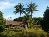 post-24958-0-12907900-1370962695_thumb.j