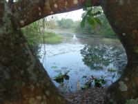 post-24958-0-18564300-1370962442_thumb.j