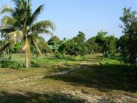 post-24958-0-57176500-1370962961_thumb.j