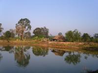 post-24958-0-64361300-1370963037_thumb.j