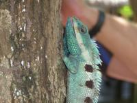 post-24958-0-73274000-1370962556_thumb.j