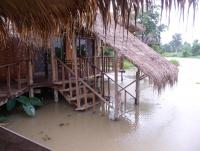 post-24958-0-91581700-1370963960_thumb.j