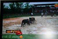 post-25023-0-03845100-1371118419_thumb.j